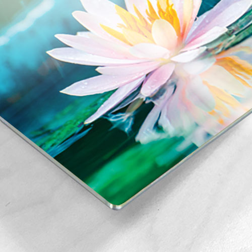 Custom Metal Prints | Pictureframes.com